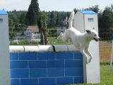 Agility