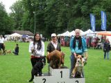 Agility-Turniere